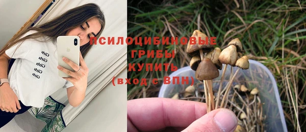 МДПВ Медногорск