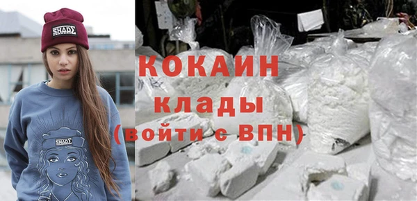 дживик Майский
