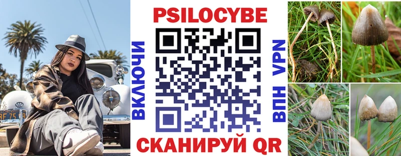 Псилоцибиновые грибы GOLDEN TEACHER  мориарти телеграм  Ядрин  наркошоп 